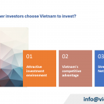 Establish a Dutch invested company in Vietnam