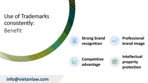 Guide to Protect Trademark in Palau