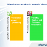 How to establish a Filipino invested company in Vietnam?