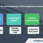 Investment immigration process in the US