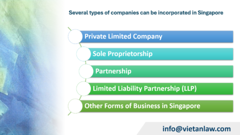 Types of companies that can be incorporated in Singapore