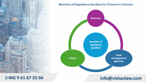 Understanding Vietnamese Regulatory Sandboxes in Fintech
