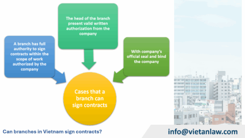 Can branches in Vietnam sign contracts?