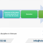 Guide to Labor Disciplinary Procedures in Vietnam
