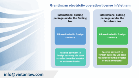 Foreign Currency Use in Vietnam Business Operations