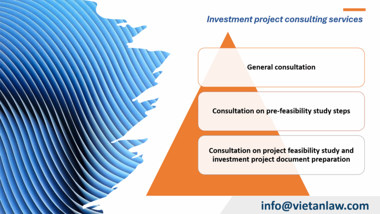 Investment project consulting services