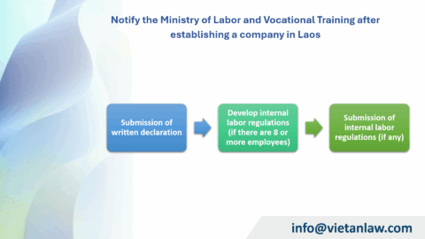 After setting up a company consulting services in Laos