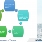 Payroll services for businesses in Vietnam