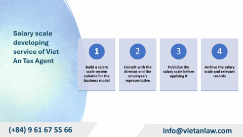 Salary scale developing services in Vietnam