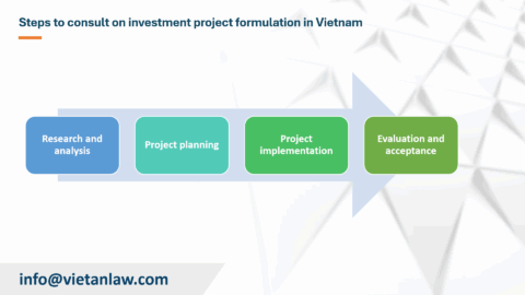 Investment project consulting services in Vietnam