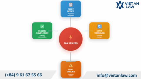 Collating and completing accounting data in Vietnam