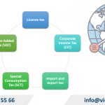 Tax accounting consulting services for foreign-invested (FDI) enterprises