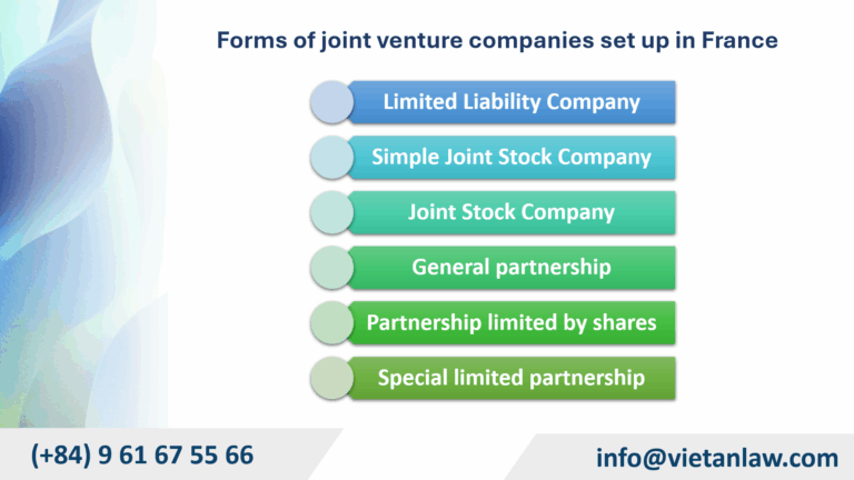 Forms of joint venture companies set up in France