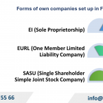 Types of companies that can be set up in France