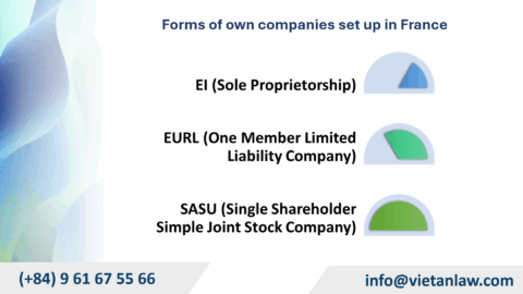 Types of companies that can be set up in France