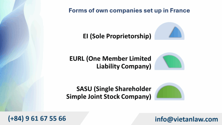 Forms of own companies set up in France 