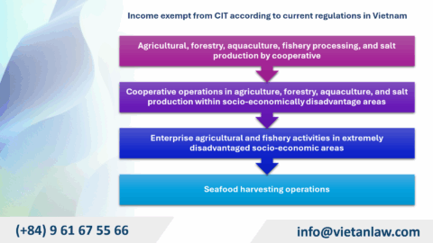How to calculate profit after CIT in Vietnam