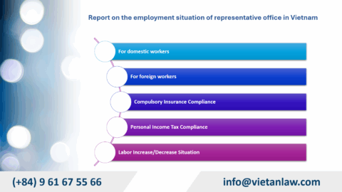 Representative Office Operations Reporting Service in Vietnam