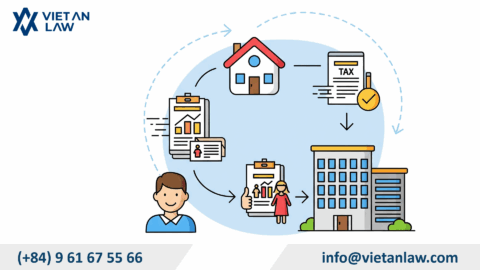 Tax declaration services for business households in Vietnam