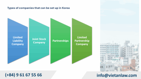 Types of companies that can be set up in Korea