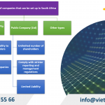 Types of companies that can be set up in South Africa