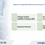 Types of companies that can be set up in the Netherlands