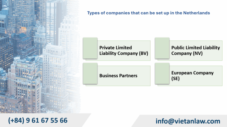 Types of companies that can be set up in the Netherlands