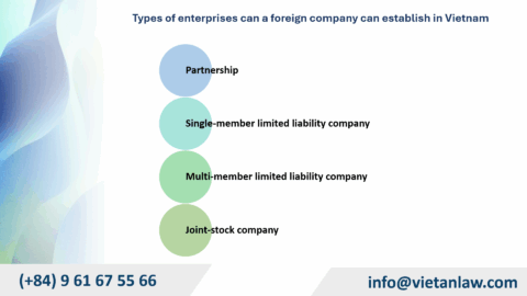 Foreign Companies Establishing Subsidiaries in Vietnam