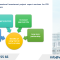 Professional Investment Project Report Services for FDI Enterprises in Vietnam