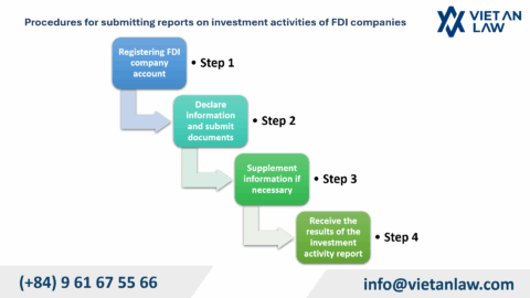 Service of operation reporting, investment reporting for FDI companies