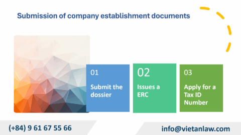 Set up a company in Argentina