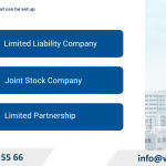 Types of companies that can be set up in Mexico