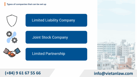 Types of companies that can be set up in Mexico