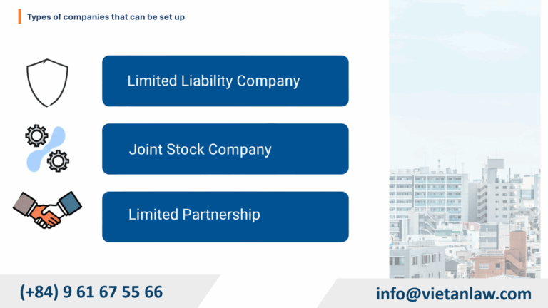 Types of companies that can be set up in Mexico