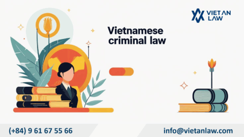 Vietnam Law On Amendments To Some Articles Of The Criminal Code 2025