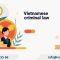 Vietnam Law On Amendments To Some Articles Of The Criminal Code 2025