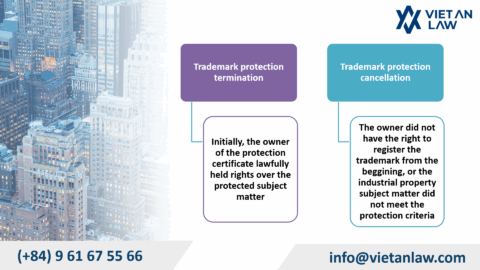 Trademark Protection Termination vs. Cancellation in Vietnam