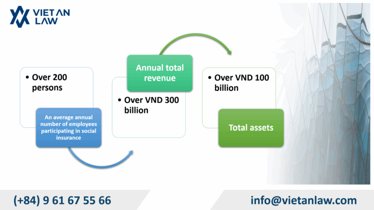 Other large-scale enterprises must have their annual financial statements audited.