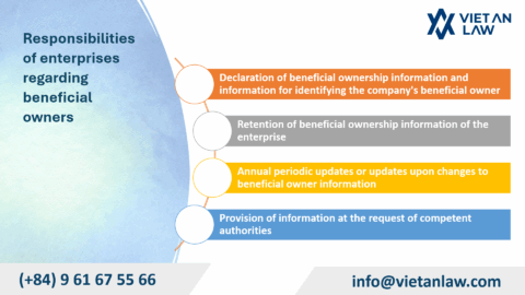 Determining Your Company's Beneficial Owner in Vietnam