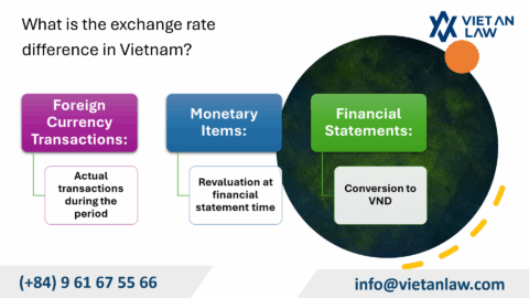 Exchange rate and exchange rate difference when declaring tax in Vietnam