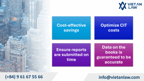 Financial statement services in Vietnam