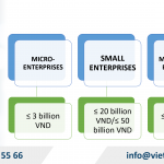 Capital Criteria for 3-Year Tax Exemption for Household Business Conversion in Vietnam
