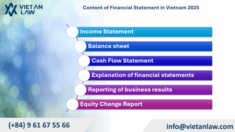 Content of Financial Statement in Vietnam 2025 