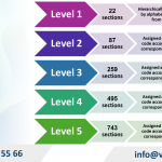 Decision No. 36/2025/QD-TTg promulgating Vietnam Standard Industrial Classification