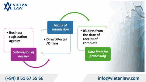 How to Set Up a Small Company for Startups in Vietnam