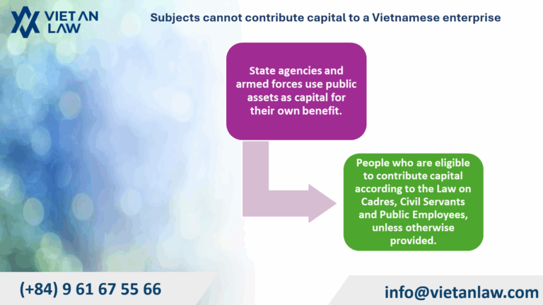 Subjects cannot contribute capital to a Vietnamese enterprise