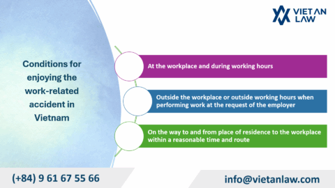 Services for implementing procedures to receive insurance benefits