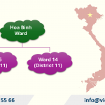 Adjust Investment Registration Certificate in Hoa Binh Ward, Ho Chi Minh City