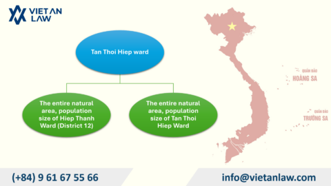 Adjust Investment Registration Certificate in Tan Thoi Hiep Ward, Ho Chi Minh City