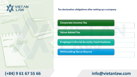 Procedures after setting up a company in Norway